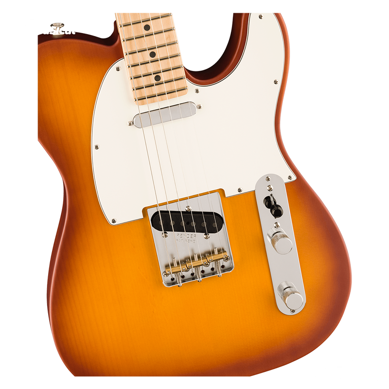 GUITARRA ELECTRICA FENDER 0171042742 AM PERFORMER TELE TMBR MN HNYB - JP Musical