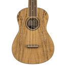 UKULELE FENDER 0970450594 ZUMA CONCERT UKE SPALTED WN - JP Musical