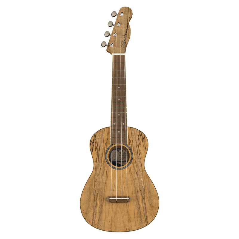 UKULELE FENDER 0970450594 ZUMA CONCERT UKE SPALTED WN