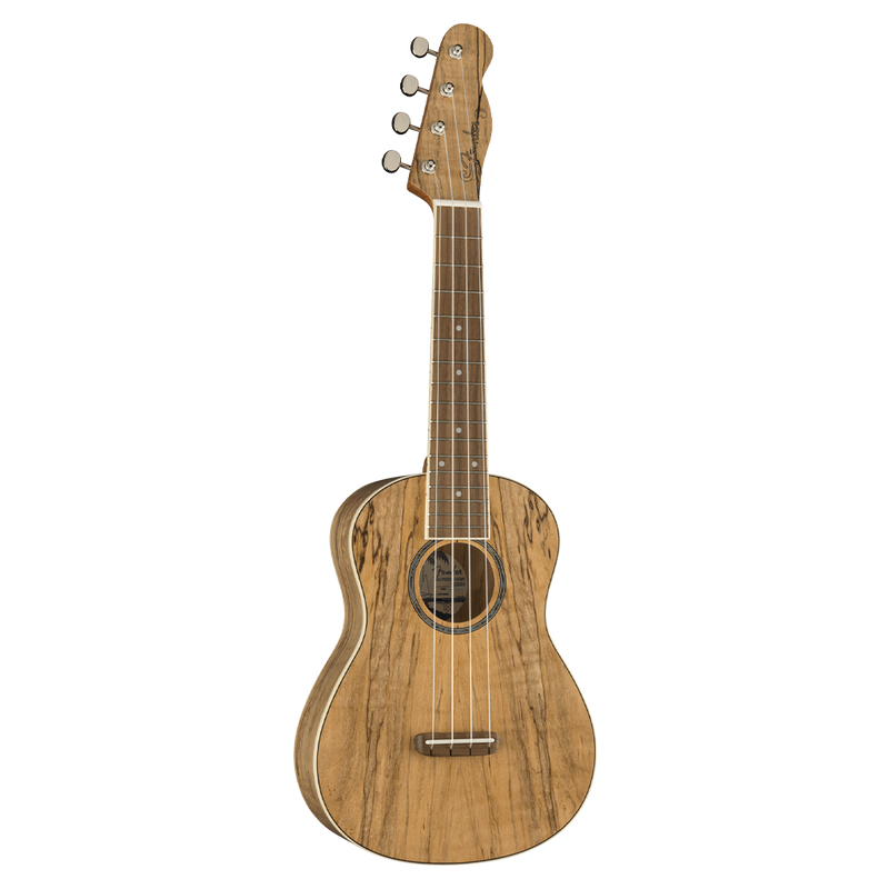 UKULELE FENDER 0970450594 ZUMA CONCERT UKE SPALTED WN