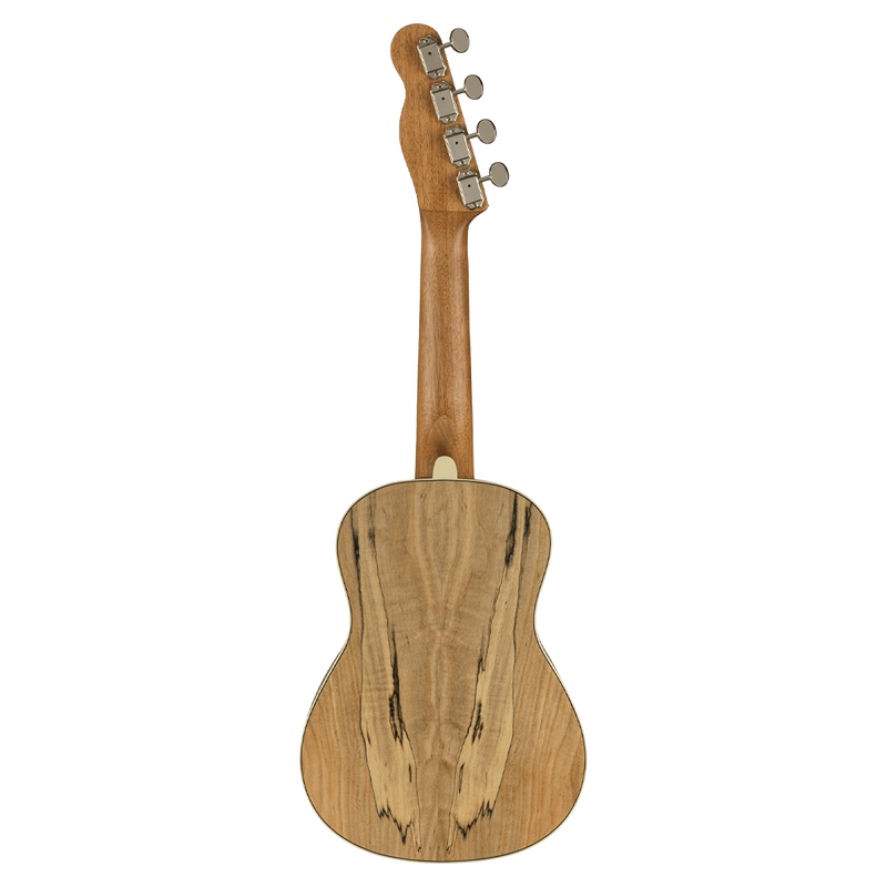 UKULELE FENDER 0970450594 ZUMA CONCERT UKE SPALTED WN