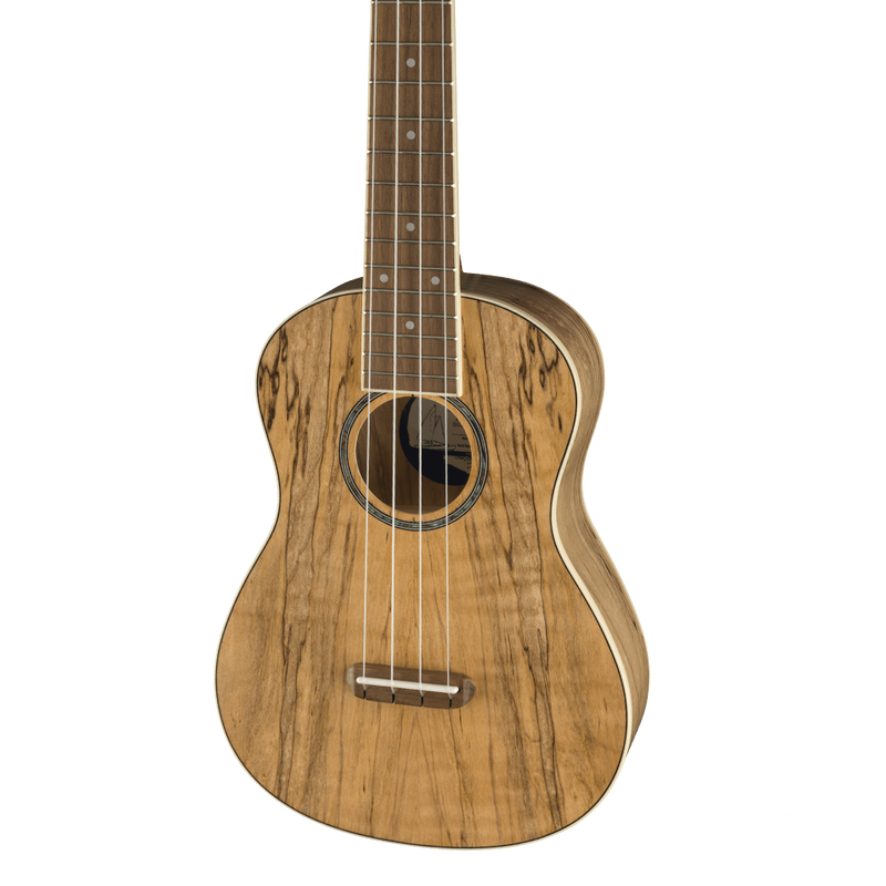 UKULELE FENDER 0970450594 ZUMA CONCERT UKE SPALTED WN