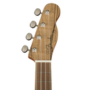 UKULELE FENDER 0970450594 ZUMA CONCERT UKE SPALTED WN - JP Musical