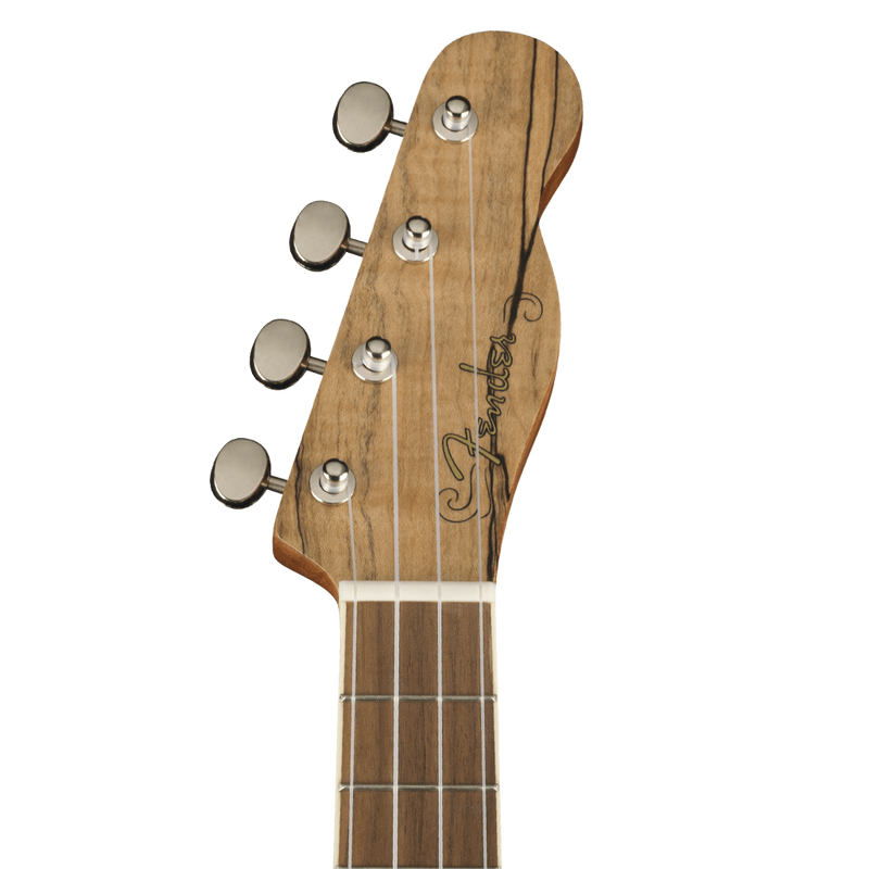 UKULELE FENDER 0970450594 ZUMA CONCERT UKE SPALTED WN