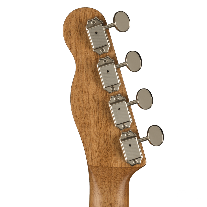 UKULELE FENDER 0970450594 ZUMA CONCERT UKE SPALTED WN