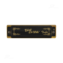 ARMONICA FENDER 0990702003 BLUES DEVILLE A - JP Musical