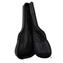 FUNDA RITTER RGD2EANT PARA GUITARRA ELECTRICA GRIS ANTRACITA - JP Musical