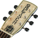 GUITARRA ACUSTICA GRETSCH 2718013503 G9240 ALLIG MAH RDN NCK 2SB - JP Musical
