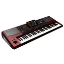 TECLADO PROFESIONAL KORG PA1000 - JP Musical