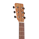 GUITARRA ELECTROACUSTICA MARTIN&CO 11DX2EBRAZ ROSEWOOD PATTERN - JP Musical