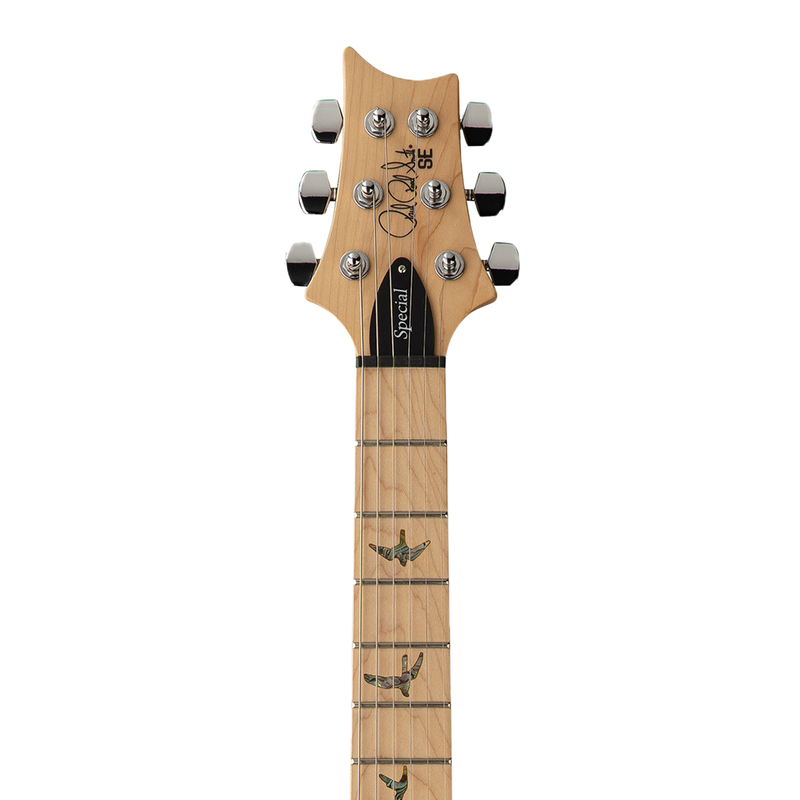 GUITARRA ELECTRICA PRS SE SWAMP ASH SPECIAL 22 BOLT ON IRE BLUE - JP Musical