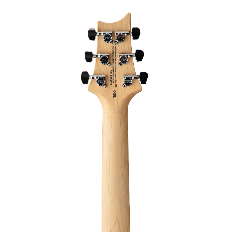 GUITARRA ELECTRICA PRS SE SWAMP ASH SPECIAL 22 BOLT ON IRE BLUE - JP Musical
