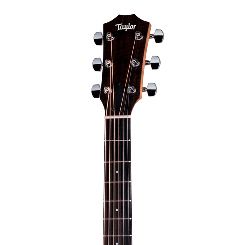 GUITARRA ELECTROACUSTICA TAYLOR 117E SAPELE/SPRUCE - JP Musical