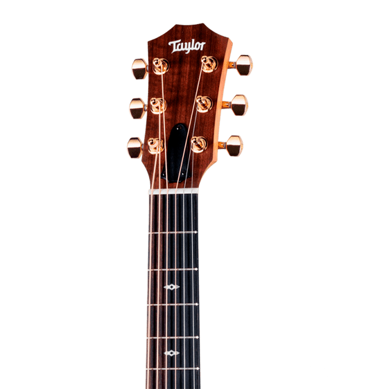 GUITARRA ELECTROACUSTICA TAYLOR GSMINIER-SB LTD 50TH ANNIVERSARY - JP Musical