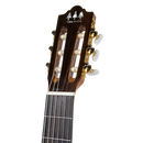 GUITARRA CLASICA TRES PINOS TPCG1300NT NATURAL - JP Musical