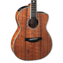 GUITARRA ELECTROACUSTICA TAKAMINE THE60TH 60 ANIVERSARIO CON CASE