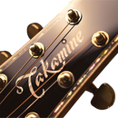 GUITARRA ELECTROACUSTICA TAKAMINE THE60TH 60 ANIVERSARIO CON CASE