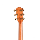 Taylor - 224CEKDLX Guitarra Electroacústica - JP Musical