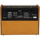 Fender 2314000000 Acoustic 100 120V - JP Musical