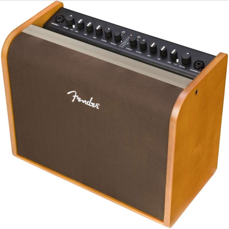 Fender 2314000000 Acoustic 100 120V - JP Musical