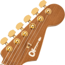 GUITARRA ELECTRICA CHARVEL 2969411510 PM DK24P HH 2PT TR BLK BRST - JP Musical