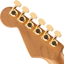 GUITARRA ELECTRICA CHARVEL 2969411510 PM DK24P HH 2PT TR BLK BRST - JP Musical