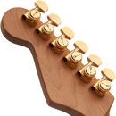 Charvel 2969434557 Pro-Mod DK24 HSH 2PT CM Mahogany Natural - JP Musical