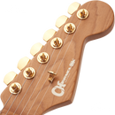 Charvel 2969434557 Pro-Mod DK24 HSH 2PT CM Mahogany Natural - JP Musical