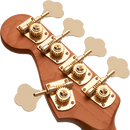 BAJO ELECTRICO CHARVEL 2965079518 PM BASS SD JJ V LMBO GR MET - JP Musical