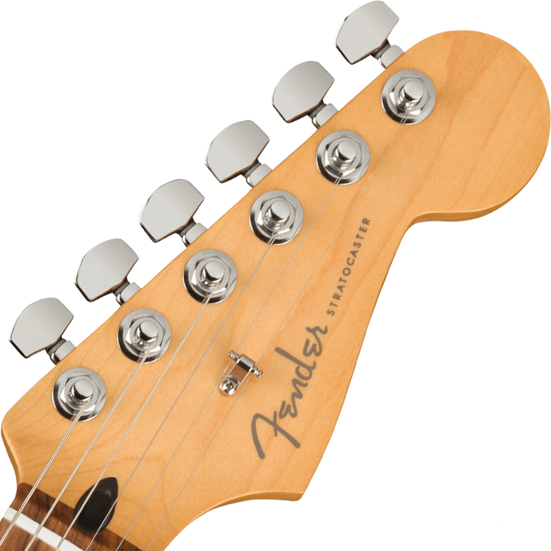 Fender 0147323391 Player Plus Stratocaster HSS Pau Ferro Fingerboard Silverburst - JP Musical