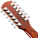 Fender 0970193021 CD-60SCE Dreadnought 12 String Walnut Fingerboard Natural - JP Musical