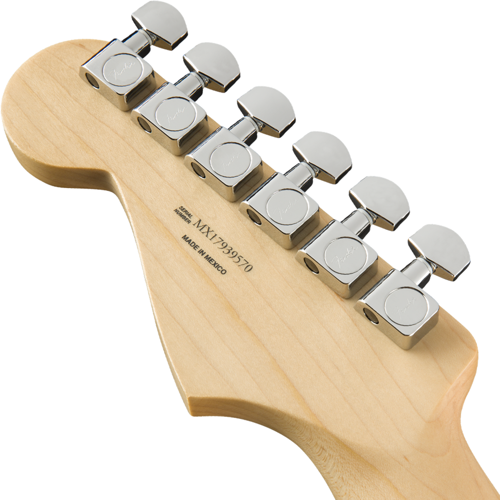 Fingerboard　0144522513　Stratocaster　Maple　JP　Player　Tidepool　HSS　Fender　Musical