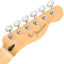 Fender 0145212550 Player Telecaster Maple Fingerboard Butterscotch Blonde - JP Musical