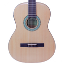 GUITARRA CLASICA A/E CASTAÑEDA CSTCGN1 W/BAG - JP Musical