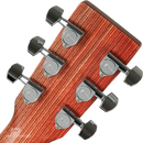GUITARRA ELECTROACUSTICA MARTIN&CO 11LX1E MODIFIED LOW OVAL SOLID SITKA SPRUCE - JP Musical