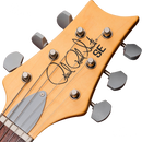 PRS SE Silver Sky Ever Green - JP Musical