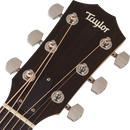 GUITARRA ELECTROACUSTICA TAYLOR 214CEKSB - JP Musical