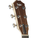 GUITARRA ELECTROACUSTICA TAYLOR BBTE WALNUT - JP Musical
