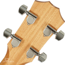 BAJO ELECTROACUSTICO TAYLOR GSMINIEKOABASS - JP Musical