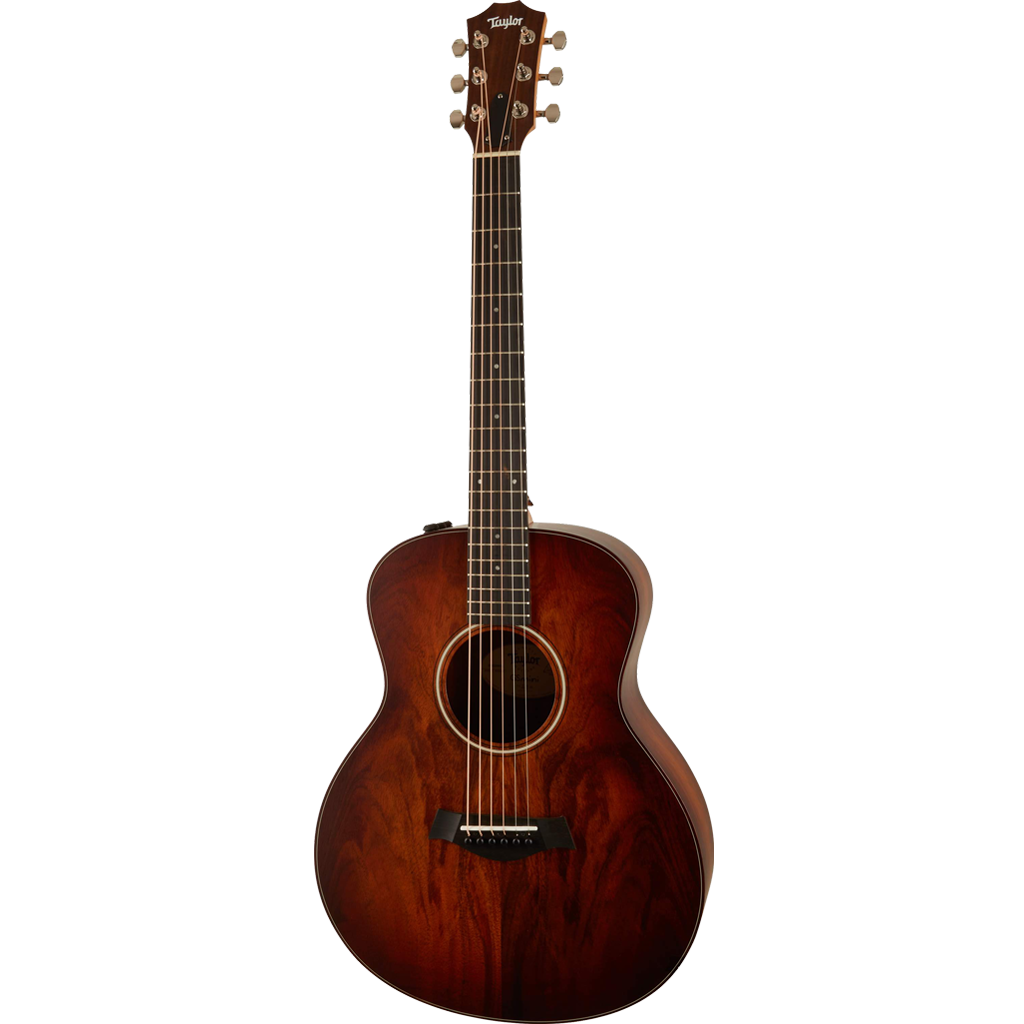 Taylor GS mini 極美品 【公式通販】