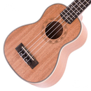 UKULELE CONCERT CASTAÑEDA CSTUK24AS W/STRAP,BAG - JP Musical