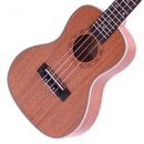 UKULELE SOPRANO CASTAÑEDA CSTUK21AS W/STRAP,BAG - JP Musical